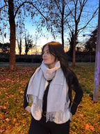 Écharpe argentée toucher cachemire